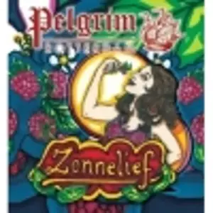 Pelgrim Zonnelief